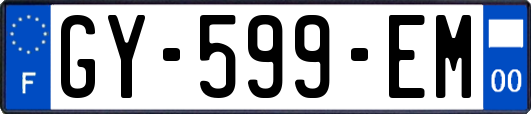 GY-599-EM