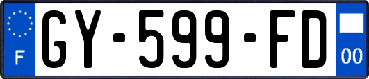 GY-599-FD