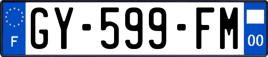 GY-599-FM