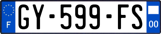 GY-599-FS