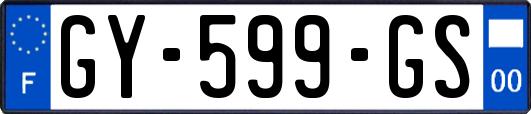GY-599-GS