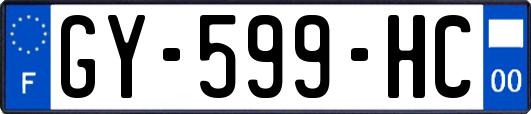 GY-599-HC