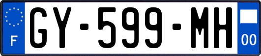 GY-599-MH