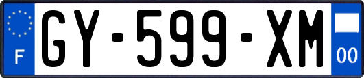 GY-599-XM