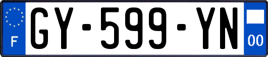 GY-599-YN