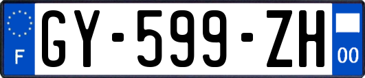 GY-599-ZH