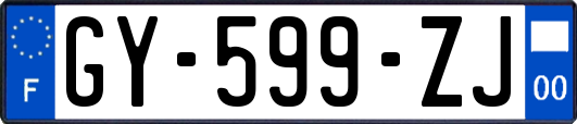 GY-599-ZJ