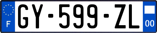 GY-599-ZL
