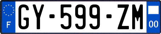 GY-599-ZM