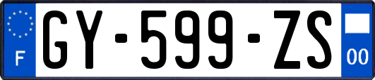 GY-599-ZS