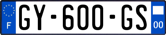 GY-600-GS