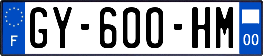 GY-600-HM