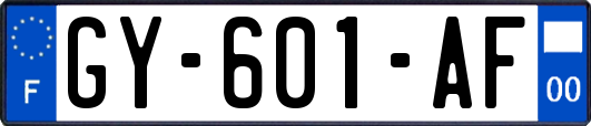 GY-601-AF