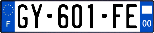 GY-601-FE