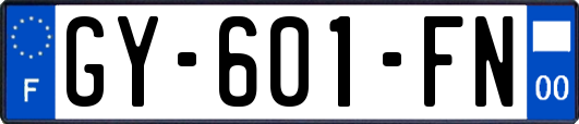 GY-601-FN