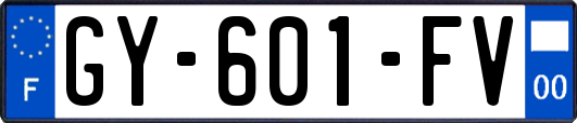 GY-601-FV
