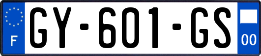 GY-601-GS