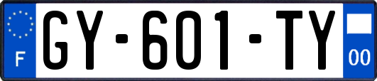 GY-601-TY