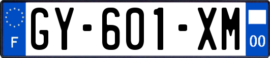 GY-601-XM