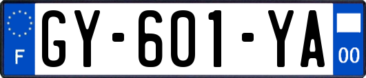 GY-601-YA