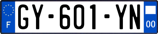 GY-601-YN