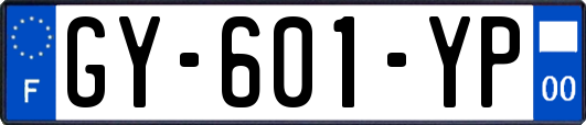 GY-601-YP