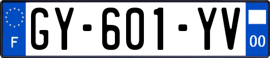 GY-601-YV