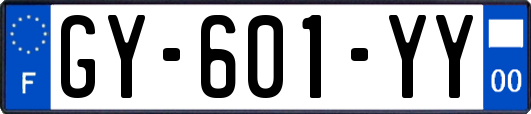 GY-601-YY