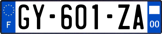 GY-601-ZA