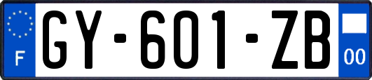 GY-601-ZB