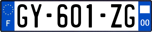GY-601-ZG