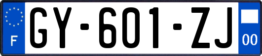 GY-601-ZJ
