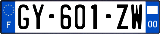 GY-601-ZW
