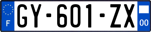 GY-601-ZX