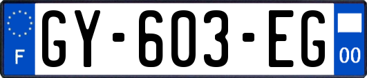 GY-603-EG