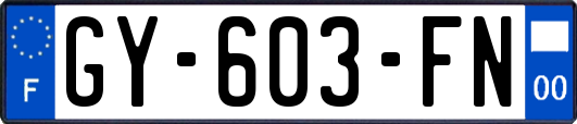 GY-603-FN