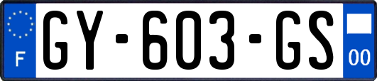 GY-603-GS