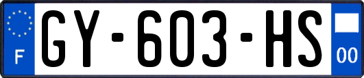 GY-603-HS