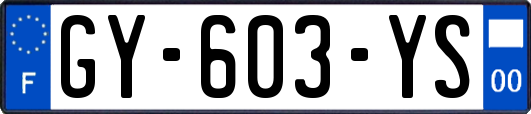 GY-603-YS