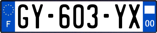GY-603-YX
