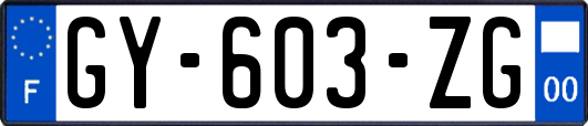 GY-603-ZG