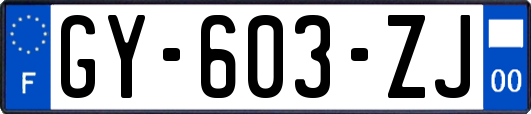 GY-603-ZJ