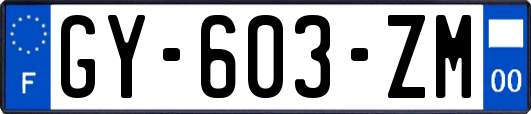 GY-603-ZM
