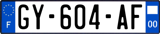 GY-604-AF