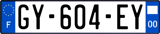 GY-604-EY
