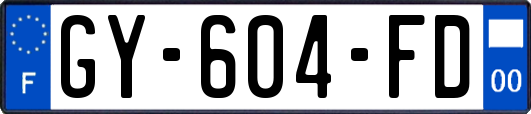 GY-604-FD
