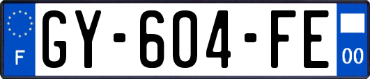 GY-604-FE