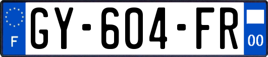 GY-604-FR