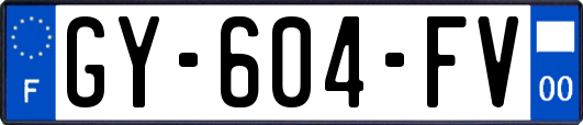 GY-604-FV