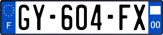 GY-604-FX
